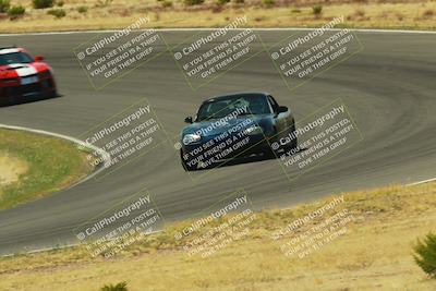 media/Apr-13-2025-Touge2Track (Sun) [[1b03265cc0]]/Pink group/Turn 2/